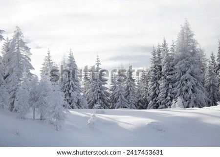 Similar – Image, Stock Photo winter wonderland