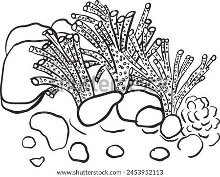 Underwater natural hand-drawn elements - Vector isolated on white -  Natural aquatics reef coral silhouettes isolated line art -  Monochrome Ocean bottom life, marine animals and topical [lants