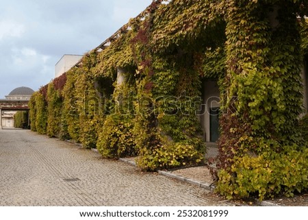 Similar – Image, Stock Photo Green door entwined with ivy