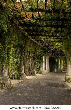Similar – Image, Stock Photo Green door entwined with ivy