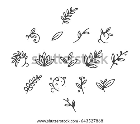 Floral Decoration Branch Leaf Plant Line  Stroke Icon Pictogram Symbol Set Collection