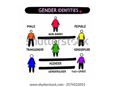 A vibrant visual guide to the spectrum of gender identities.  Exploring the diverse ways individuals experience their gender.  