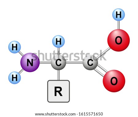 Amino acid ball symbol vector illustration. The structure of an alpha amino acid in its un-ionized form.