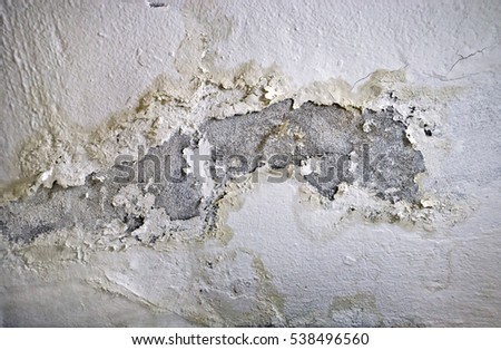 Peeling paint, indicating damp on the bathroom wall - water Leaks ストックフォト © 