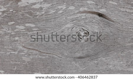 texture woods ez canvas