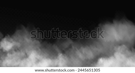 Fog or smoke, white smog clouds on floor, isolated transparent special effect. Vector illustration, morning fog over land or water surface, magic haze.	