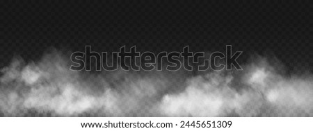 Fog or smoke, white smog clouds on floor, isolated transparent special effect. Vector illustration, morning fog over land or water surface, magic haze.	