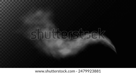 Fog or smoke, white smog clouds on floor, isolated transparent special effect. Vector illustration, morning fog over land or water surface, magic haze.	