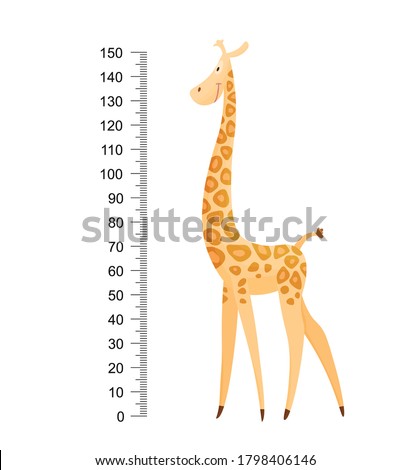 Funny giraffe. Cheerful funny giraffe with long neck. Giraffe meter wall or height chart or wall sticker. Illustration with scale from 2 to 150 centimeter to measure growth