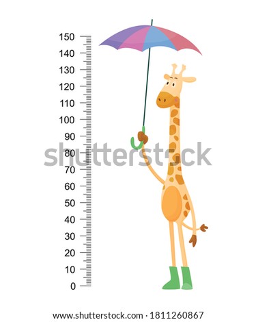 Funny giraffe. Cheerful funny giraffe with long neck. Giraffe meter wall or height chart for wall sticker. Illustration with scale from 2 to 150 centimeter to measure growth