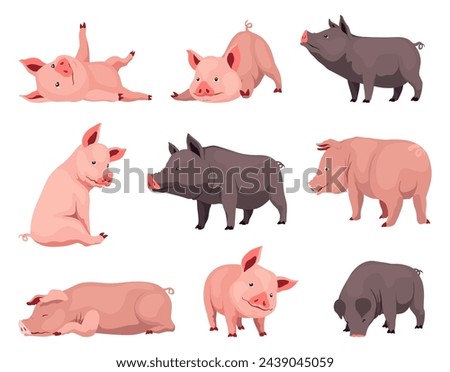 Pig set flat cartoon isolated on white background. Black and pink pigs vector illustration