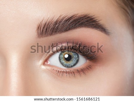 Beautiful woman with long eyelashes, beautiful make-up and thick eyebrows. Beautiful blue eyes close up. Looking at the camera. Makeup and Cosmetology concept.