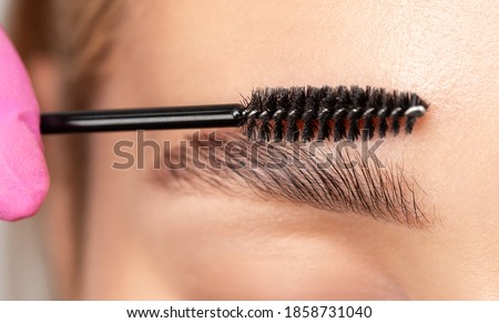 Makeup artist combs eyebrows with a brush after dyeing in a beauty salon. Professional makeup and cosmetology skin care.
