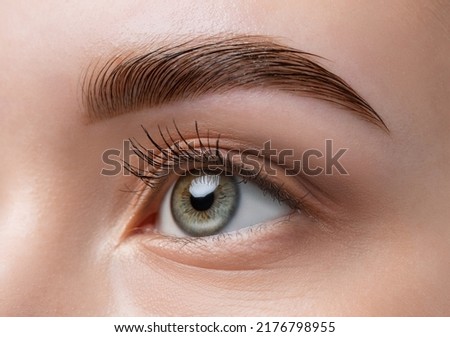 The make-up artist does Long-lasting styling of the eyebrows of the eyebrows and will color the eyebrows. Eyebrow lamination. Professional make-up and face care. Stockfoto © 