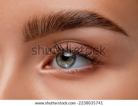 The make-up artist does Long-lasting styling of the eyebrows  and will color the eyebrows. Eyebrow lamination. Professional make-up and face care. Stockfoto © 