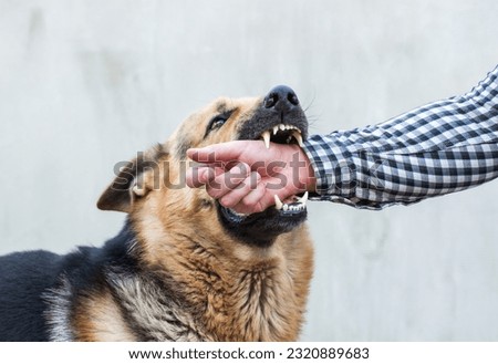 Similar – Image, Stock Photo Wild and dangerous