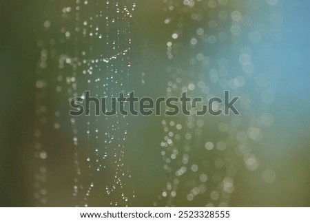 Similar – Image, Stock Photo Magically glittering, dewdrops in a spider’s web, they are beautiful to dream…