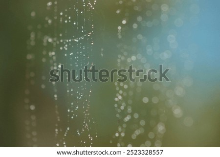 Similar – Image, Stock Photo Magically glittering, dewdrops in a spider’s web, they are beautiful to dream…