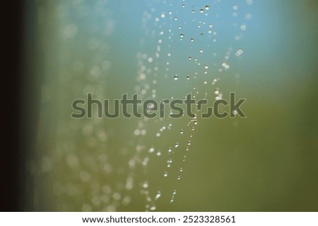 Similar – Image, Stock Photo Magically glittering, dewdrops in a spider’s web, they are beautiful to dream…