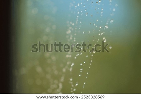 Similar – Image, Stock Photo Magically glittering, dewdrops in a spider’s web, they are beautiful to dream…