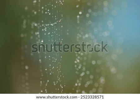 Similar – Image, Stock Photo Magically glittering, dewdrops in a spider’s web, they are beautiful to dream…