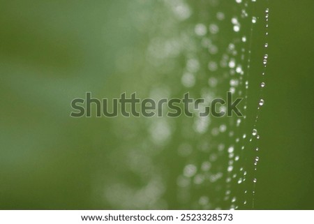 Similar – Image, Stock Photo Magically glittering, dewdrops in a spider’s web, they are beautiful to dream…