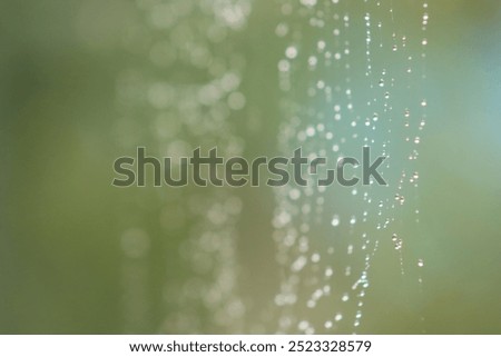 Similar – Image, Stock Photo Magically glittering, dewdrops in a spider’s web, they are beautiful to dream…