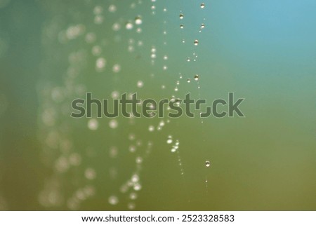 Similar – Image, Stock Photo Magically glittering, dewdrops in a spider’s web, they are beautiful to dream…