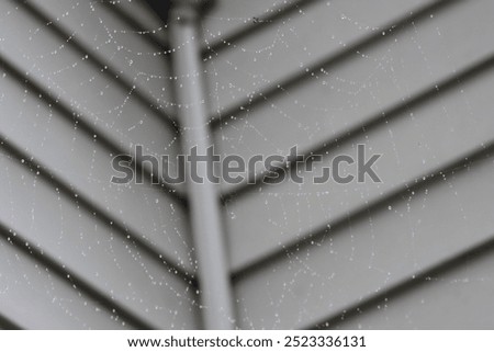 Similar – Image, Stock Photo Magically glittering, dewdrops in a spider’s web, they are beautiful to dream…