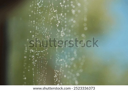 Image, Stock Photo Magically glittering, dewdrops in a spider’s web, they are beautiful to dream…