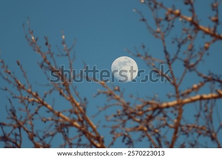 Similar – Image, Stock Photo Last lights after a long celebration