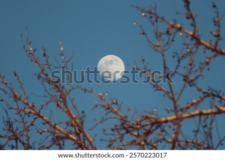 Similar – Image, Stock Photo Last lights after a long celebration