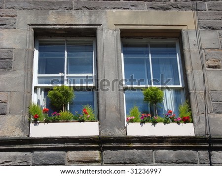 window boxes