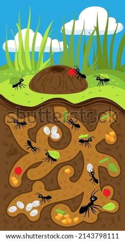 Similar – Image, Stock Photo Ants on anthill ants Heap