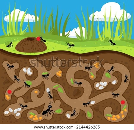 Similar – Image, Stock Photo Ants on anthill ants Heap