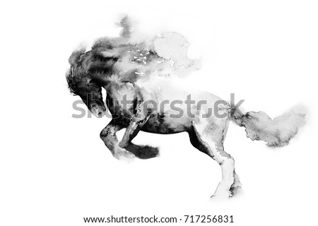 painting with watercolors, ink.
Chinese, Japanese painting. horse on white background