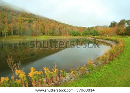 Autumn fog burning off Pine Hill lake surrounded by wildflowers in the Catskills, New York