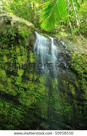 Upper Falls On Cascada Juan Diego In The El Yunque Rainforest In The ...