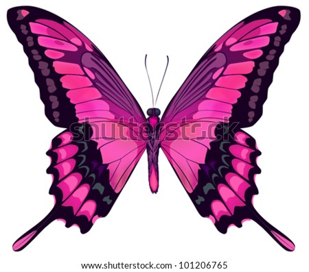 Vector Iillustration Of Beautiful Pink Butterfly Isolated On White ...