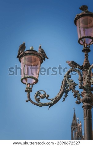 Similar – Foto Bild Metallische Ornamentstruktur in der Mitte eines Teiches