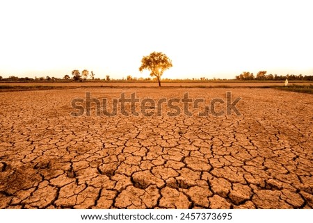 Similar – Image, Stock Photo Climate change and drought land. Water crisis. Arid climate. Crack soil. Global warming. Environment problem. Nature disaster. Dry soil texture background. Dry and cracked skin need moisture concept.