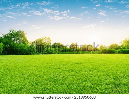 Similar – Image, Stock Photo Summer meadow grasses