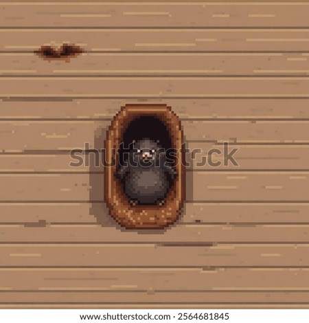 Similar – Image, Stock Photo Wooden wall with hole | Trash 2020