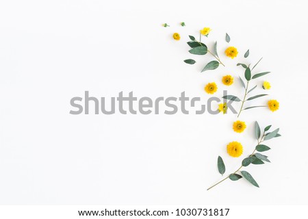 Photo of Flowers composition. Pattern made of yellow flowers and eucalyptus leaves on white background. Flat lay, top view, copy space