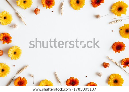 Autumn composition. Gerbera flowers, spica ears on white background. Autumn, fall concept. Flat lay, top view Zdjęcia stock © 