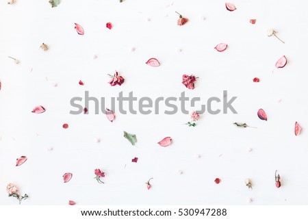 Similar – Image, Stock Photo red made up woman with white and gray hair