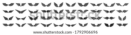 Set of black wings icons. Wings badges. Collection wings badges. Vector illustration.