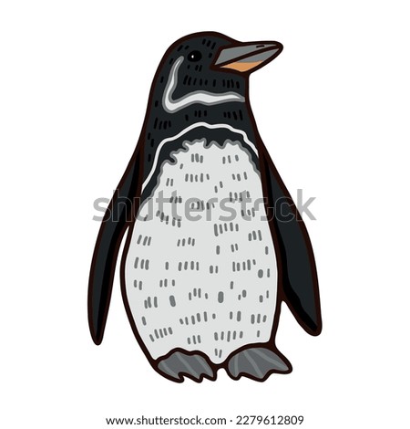 Red book Galapagos penguin lives in coastal areas and nests on land and hunt in offshore waters. Birds inhabit Galpagos Islands. Cartoon style illustration