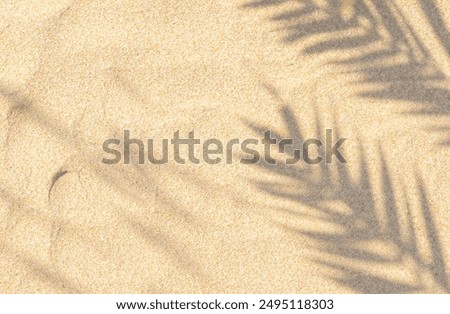 Similar – Foto Bild VIew aus dem Sand am Strand der Cathedrals