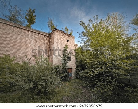 Similar – Foto Bild heruntergekommenes Haus, das aus Pflanzen wächst